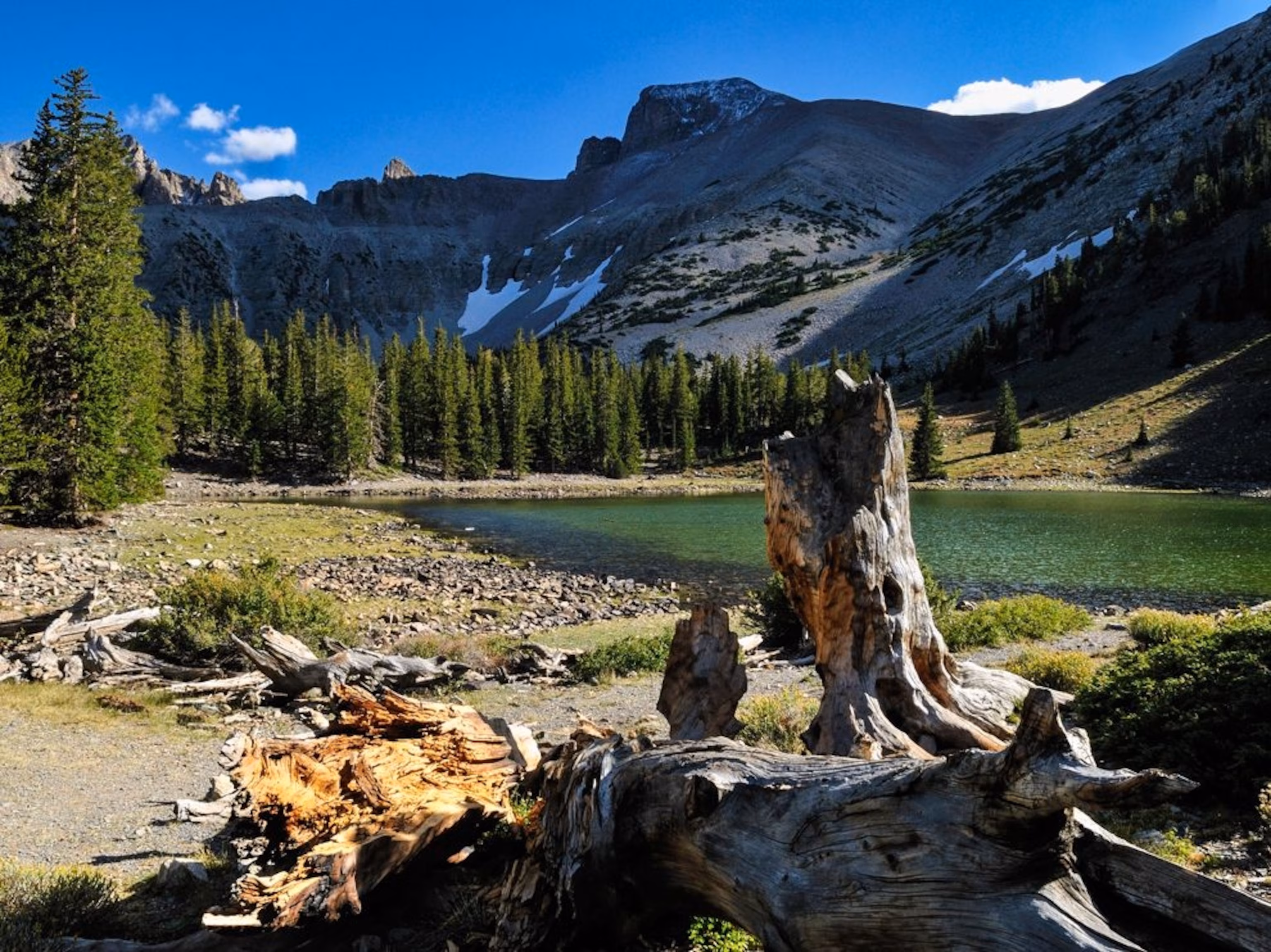 Great Basin desert landscape
